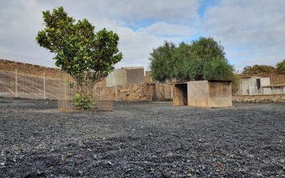 2ccec7b4-ea98-430c-bd97-51ce52cece11