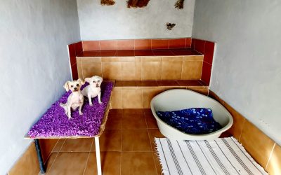 699450e2-7a63-484b-b61f-eb5557148a40