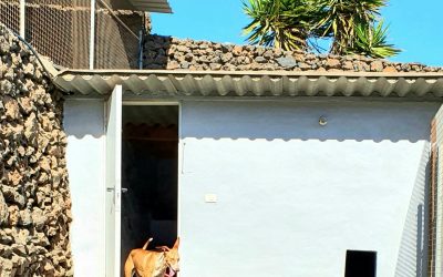 b47ca8fd-6673-4a73-9f36-c299f54544dc