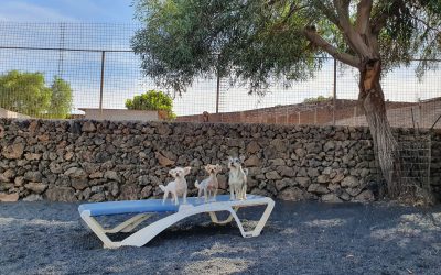 cd3ebe08-7a8b-4681-b8f5-89284a2de2a5