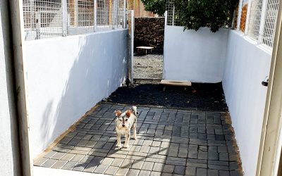 fa342b0c-9c75-4ca9-b20f-0222e8d45bd5