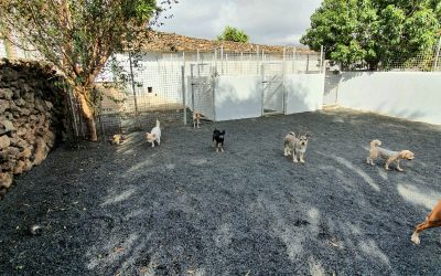 ffb5000c-112e-447b-aae0-2a6ec796ff21